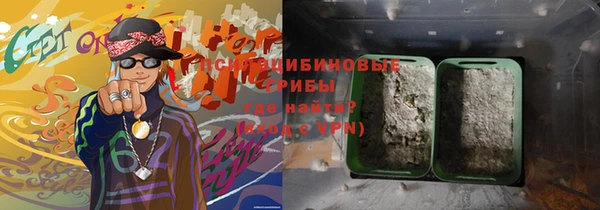 ГАЛЛЮЦИНОГЕННЫЕ ГРИБЫ Богданович